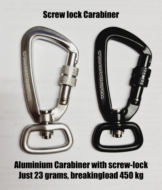 20230220112026 engels 7