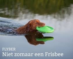 Images flyber