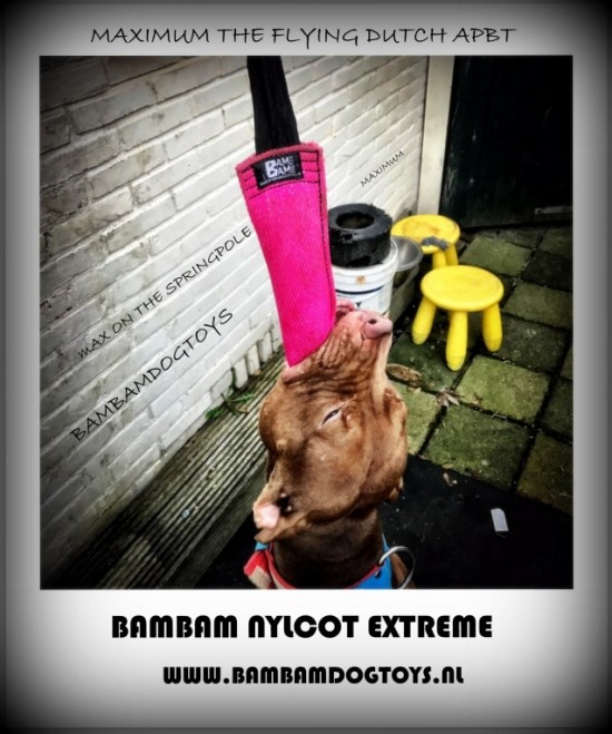 Bijtrol Nylcot Extra Strong 27 x 7,5 cm