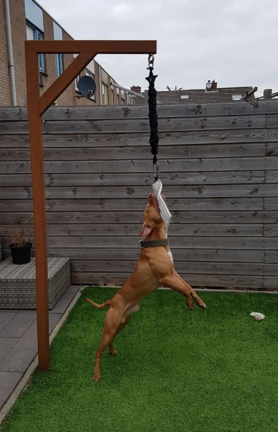 Img 20180306 wa0003 0