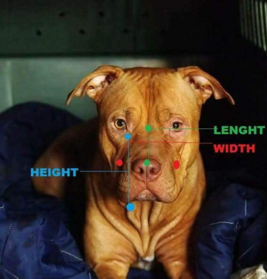 Received1766117573698023